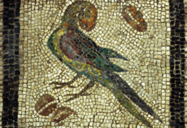Conservation and Display of Roman Mosaics at Kom el Dikka