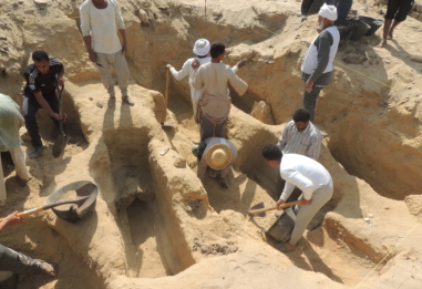 Fag el-Gamous Excavation Project