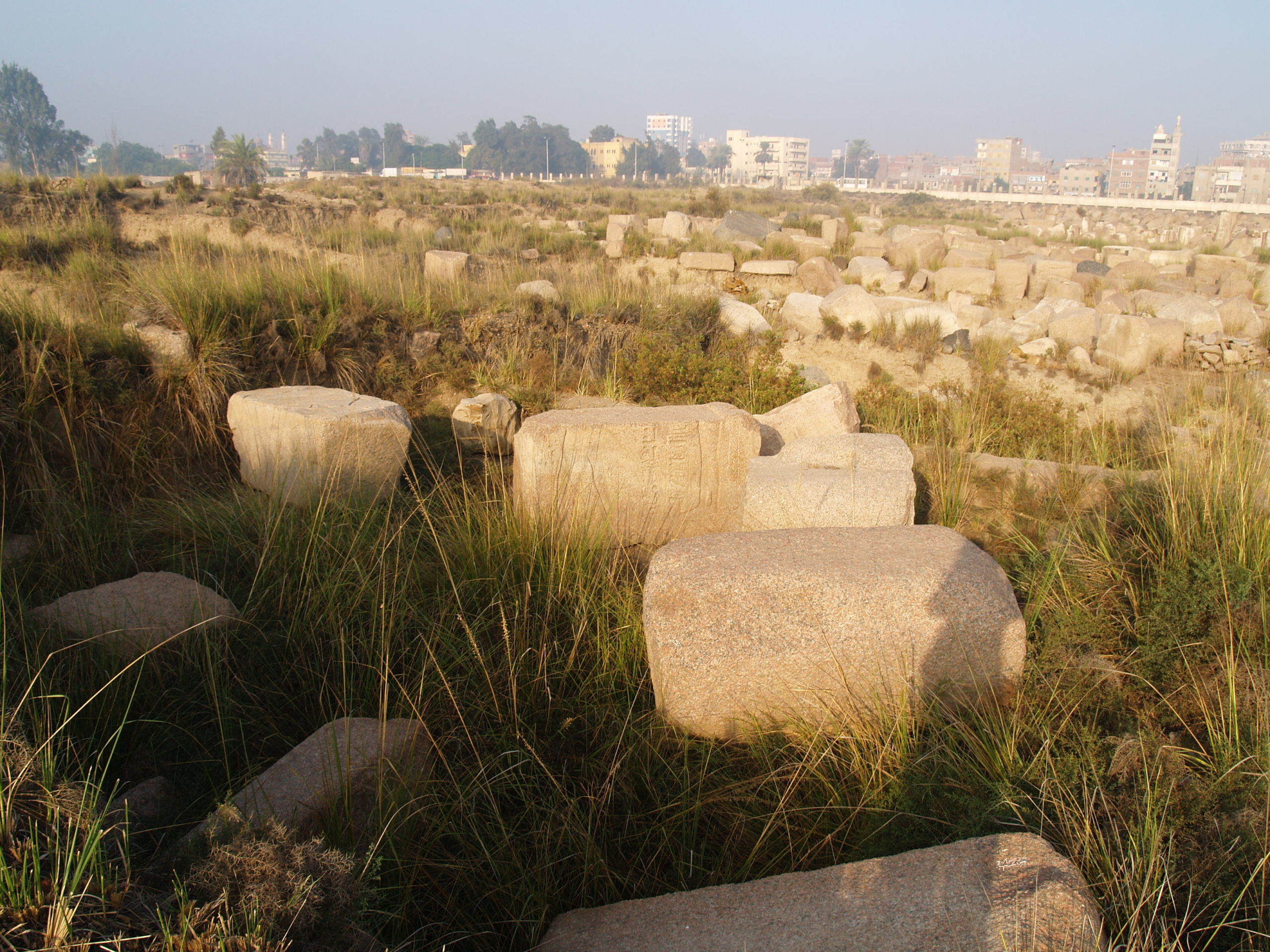 The Goddess Bastet and the Cult of Feline Deities in the Nile Delta - ARCE