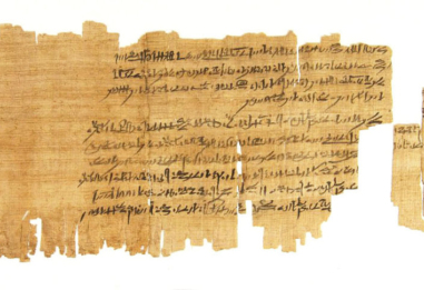 Conservation Survey of Papyrus Collection