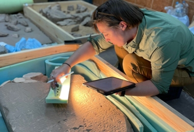 Administration in 3D: Deciphering Stelae from Wadi el-Hudi and Dihmit South